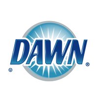 Dawn Logo