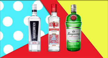 The Best Gins: 59K Reviews