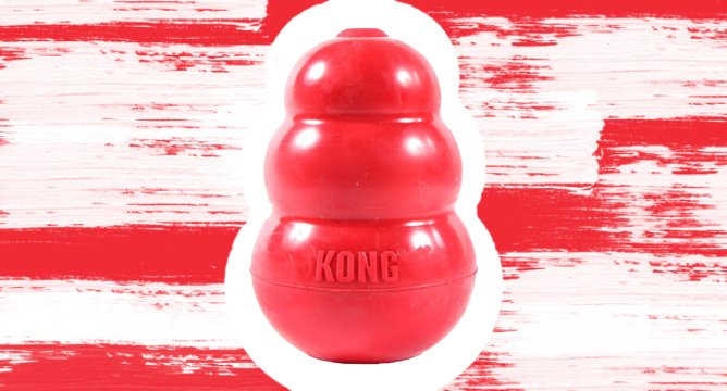 Meet Canadian Influensters' Favorite Dog Toy