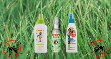 The Best Insect Repellents for Children