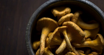Mushrooms are Your New Must-Try Skincare Ingredient