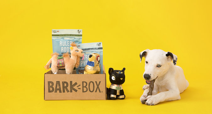 Celebrate National Dog Day with Influenster and BarkBox