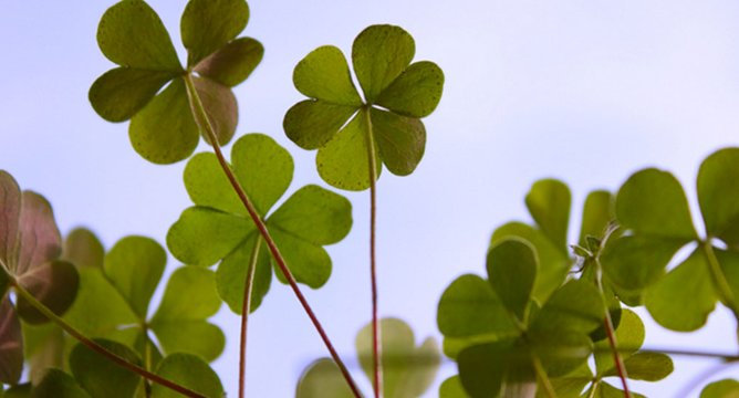 St. Patrick's Day Fashion: A Pinch of Green