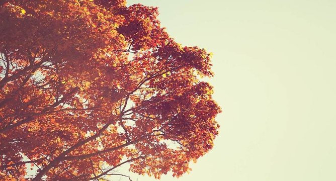 How to Transition Your Wardrobe from Summer to Fall