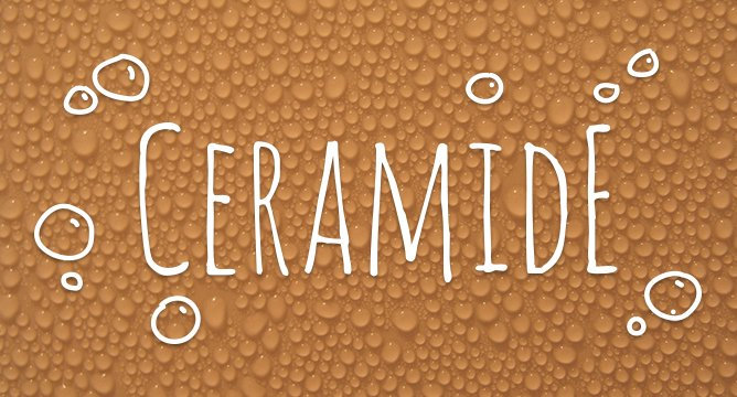 Ingredient Breakdown: Ceramides