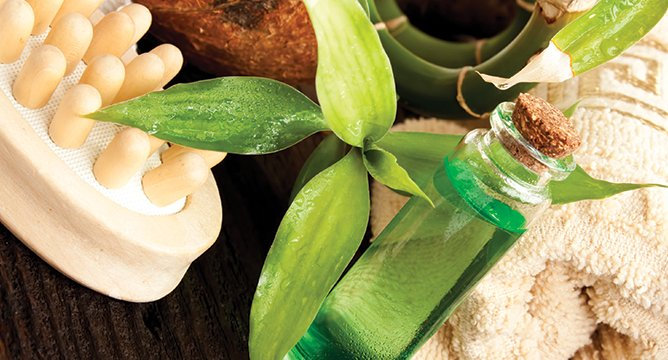 Tea Tree Oil Products You Have to Try