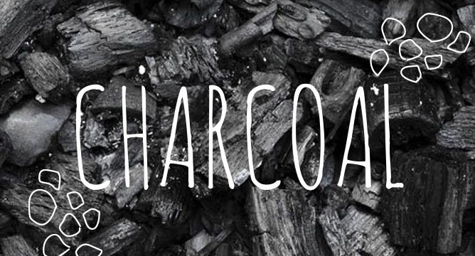 Charcoal