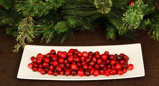 5 Cranberry Recipes to Try This Holiday Season!