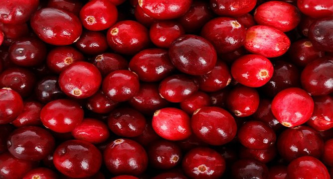 5 Cranberry Creations You Must Try This Fall
