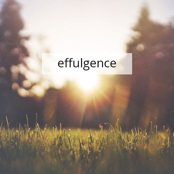 Word of the Day