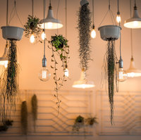 Lighting Up Your Life Just Got Easier