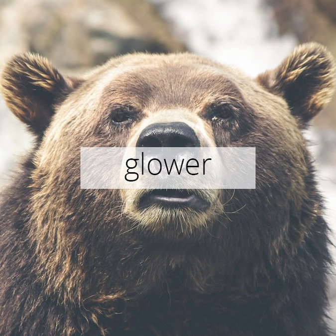 Word of the Day