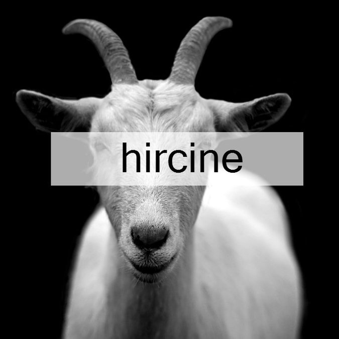 Word of the Day