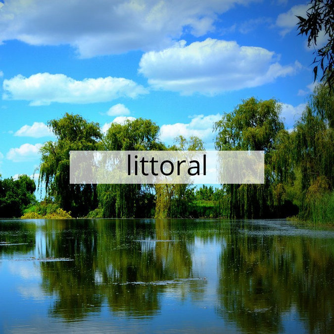 Word of the Day