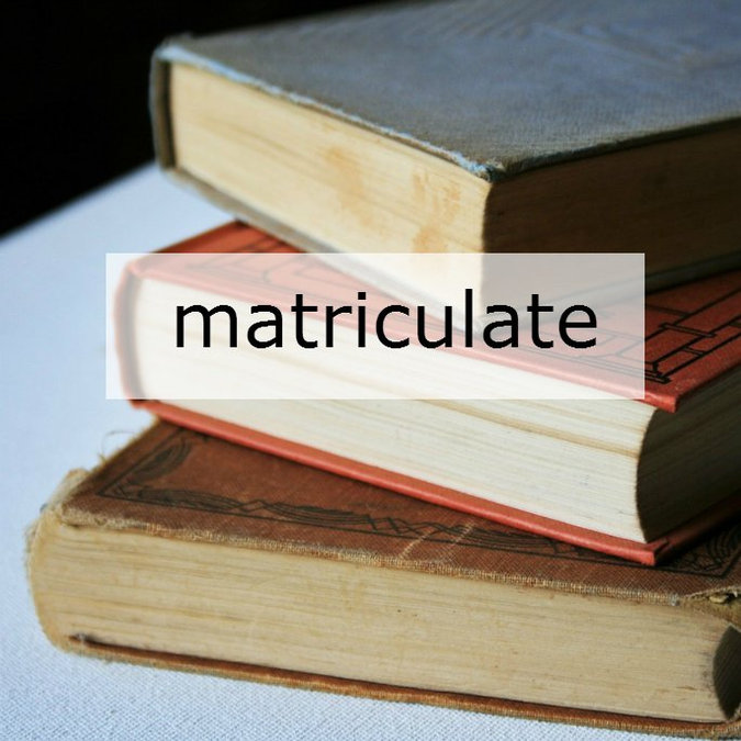 Word of the Day