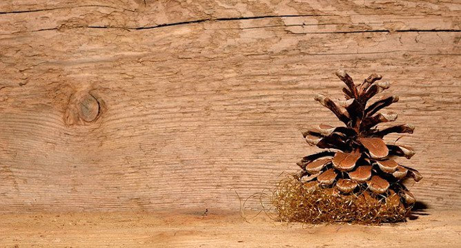 5 Totally Awesome Thanksgiving Crafts