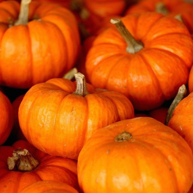 What to Bring: Trick-or-Treating With Your Kids