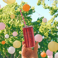 Picnic-Friendly Wines and Spirits