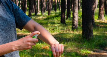 The Best Tick Repellents