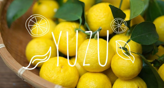 You Should Probably Be Adding Yuzu To Your Skincare Routine