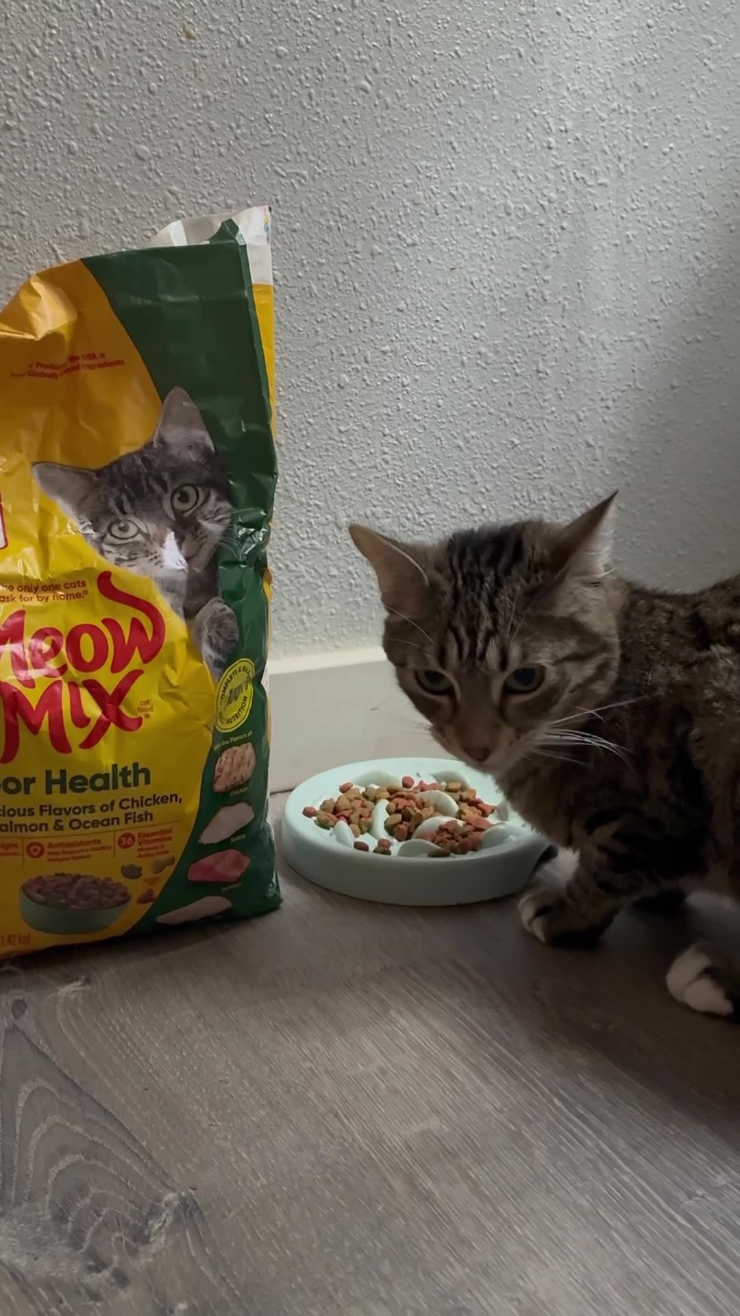 Meow Mix Indoor Dry Cat Food Adult - Chicken, Turkey, Salmon