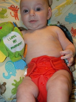 Photo of Bumgenius Cloth Diapers uploaded by Bonnie G.