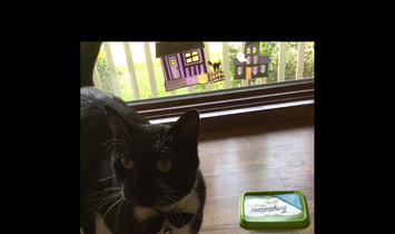 Photo of TEMPTATIONS™ MixUps Treats For Cats Catnip Fever Cat Treats uploaded by Michelle S.