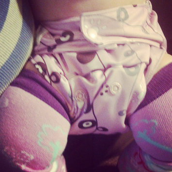 Photo of GroVia Hybrid Snap Shell Diaper, Cloud uploaded by Amanda T.
