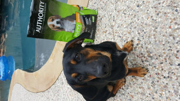 Photo of AuthorityA Puppy Food uploaded by krystal D.