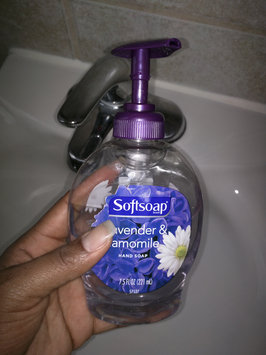 Photo of Softsoap Liquid Hand Soap uploaded by Robyn C.
