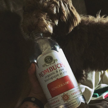 Photo of GT's Raw Organic Kombucha Gingerade uploaded by Mel B.