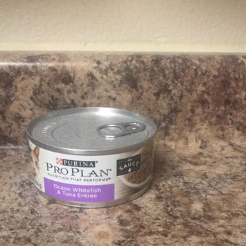 Photo of PRO PLAN® NUTRITION THAT PERFORM® Ocean Whitefish & Tuna Entree In Sauce uploaded by Miranda F.
