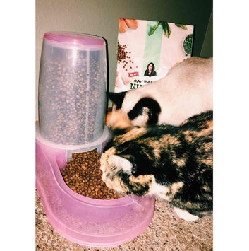 Photo of Nutrish Indoor Complete Chicken With Lentils & Salmon Recipe uploaded by Maddie M.
