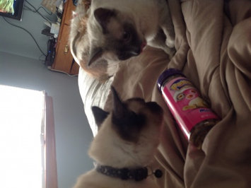 Photo of Pounce Cat Treats uploaded by Nikki M.