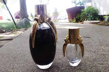 Photo of Lady GaGa's Fame Eau de Parfum uploaded by Rebecca Q.