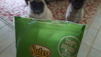 Photo of Nutro™ Crunchy Treats with Real Apple 10 oz. Bag uploaded by Sara S.