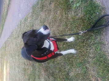 Photo of Humane Society of the United States uploaded by Gea M.
