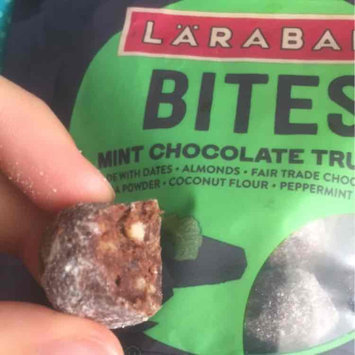 Photo of LARABAR® Bites Mint Truffle Chocolate uploaded by Madee B.