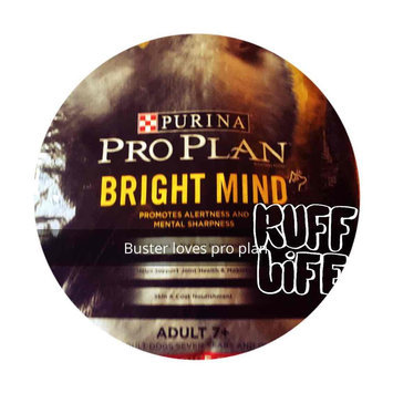 Photo of PRO PLAN® NATURAL Turkey & Barley Formula Real Turkey uploaded by Kimberly F.