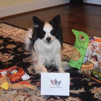 Photo of PupJoy uploaded by Reese N.