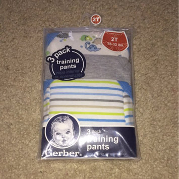 Photo of Gerber Baby Boys Blue Print Training Pant Set Dinos Pack uploaded by Gemini M.