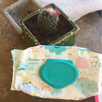 Photo of Pampers Sensitive Wipes Travel Pack, 56 ea uploaded by Ashley M.