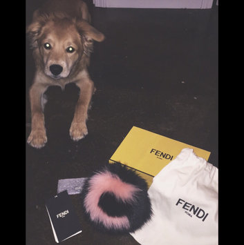 Photo of FENDI uploaded by Chandler Y.
