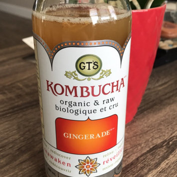 Photo of GT's Raw Organic Kombucha Gingerade uploaded by Chantel E.