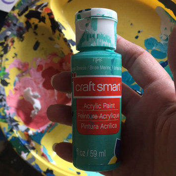 Photo of Acrylic Paint, 2 oz in Ocean Breeze by Craft Smart uploaded by Stacey M.