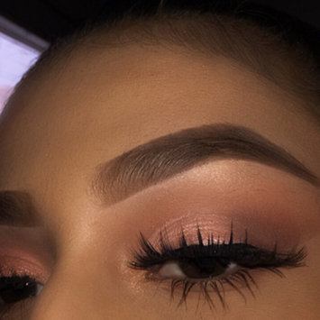 Photo of Violet Voss PRO Eyeshadow Palette - HG uploaded by vanessa g.