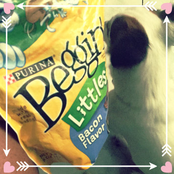 Photo of Beggin'® Littles Original With Bacon Dog Treats uploaded by Danielle J.