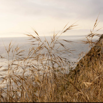 Photo of Canon EOS Rebel T2i uploaded by Tanner J.