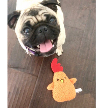 Photo of THE BLUE BUFFALO CO. BLUE™ Life Protection Formula® Chicken and Brown Rice Recipe For Puppies uploaded by Alexa B.