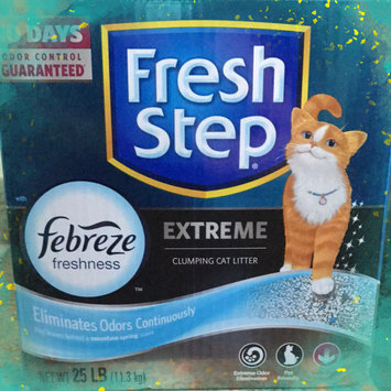 Photo of Fresh Step Lightweight Extreme Cat Litter, Scented (29.4 lb.) uploaded by Jessica C.
